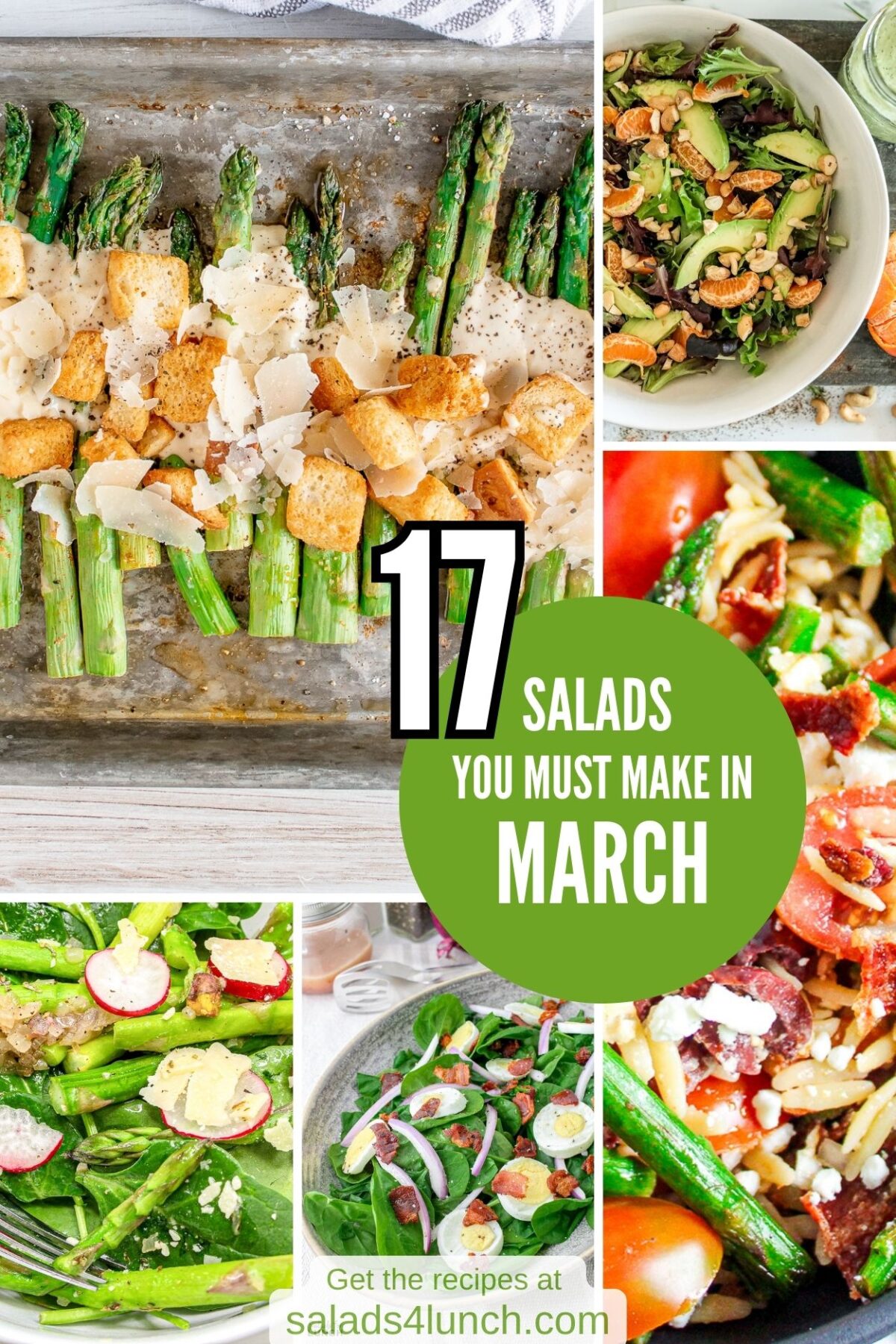 17 Salads to Make in March - March brings a lively mix of fresh fruits and vegetables that light up your plate with bold flavors and crisp textures. Celebrate March with these 17 early spring salads that prove healthy eating can be fun, flavorful, and budget-friendly.