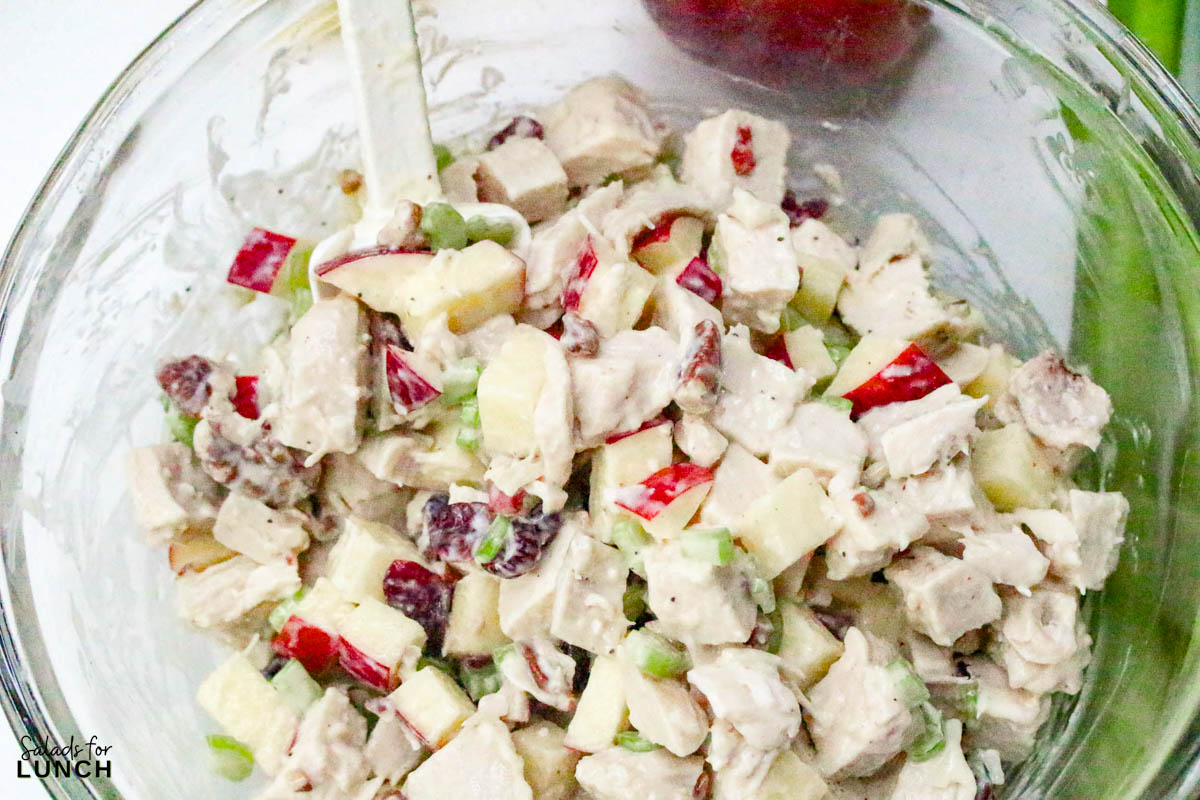 Apple Pecan Chicken Salad Recipe 16 - A tasty, healthy lunch salad recipe that’s full of crunch and flavor!