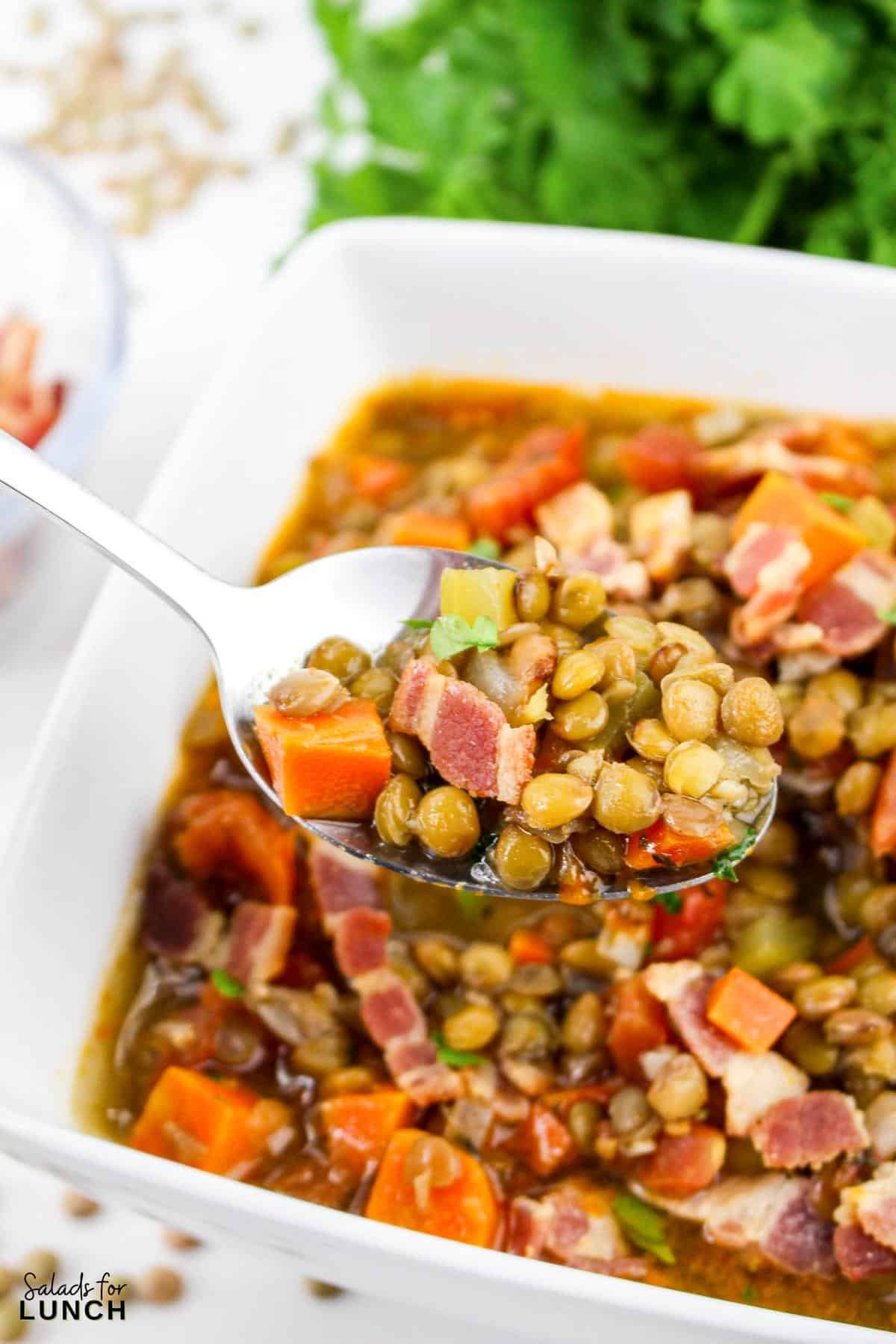 Bacon Lentil Soup Recipe 29 - This hearty, and easy Bacon Lentil Soup recipe combines the smokiness of bacon with the earthy flavor of lentils for a satisfying and nutritious meal. Perfect for a cozy evening, this soup is both flavorful and filling.