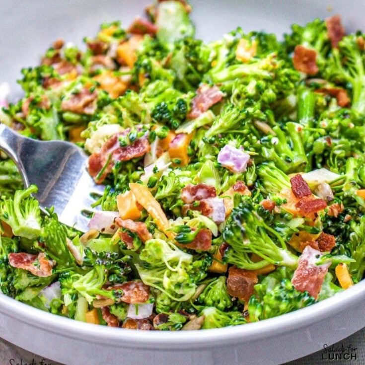 Broccoli Cheddar and Bacon Salad - Whether you’re a salad enthusiast or just looking for a fun way to brighten up your winter menu, these 17 winter salads are sure to inspire you. Embrace the flavors of February, get creative in the kitchen, and let these vibrant dishes fuel you with all the nutrients you need to thrive through the winter months!