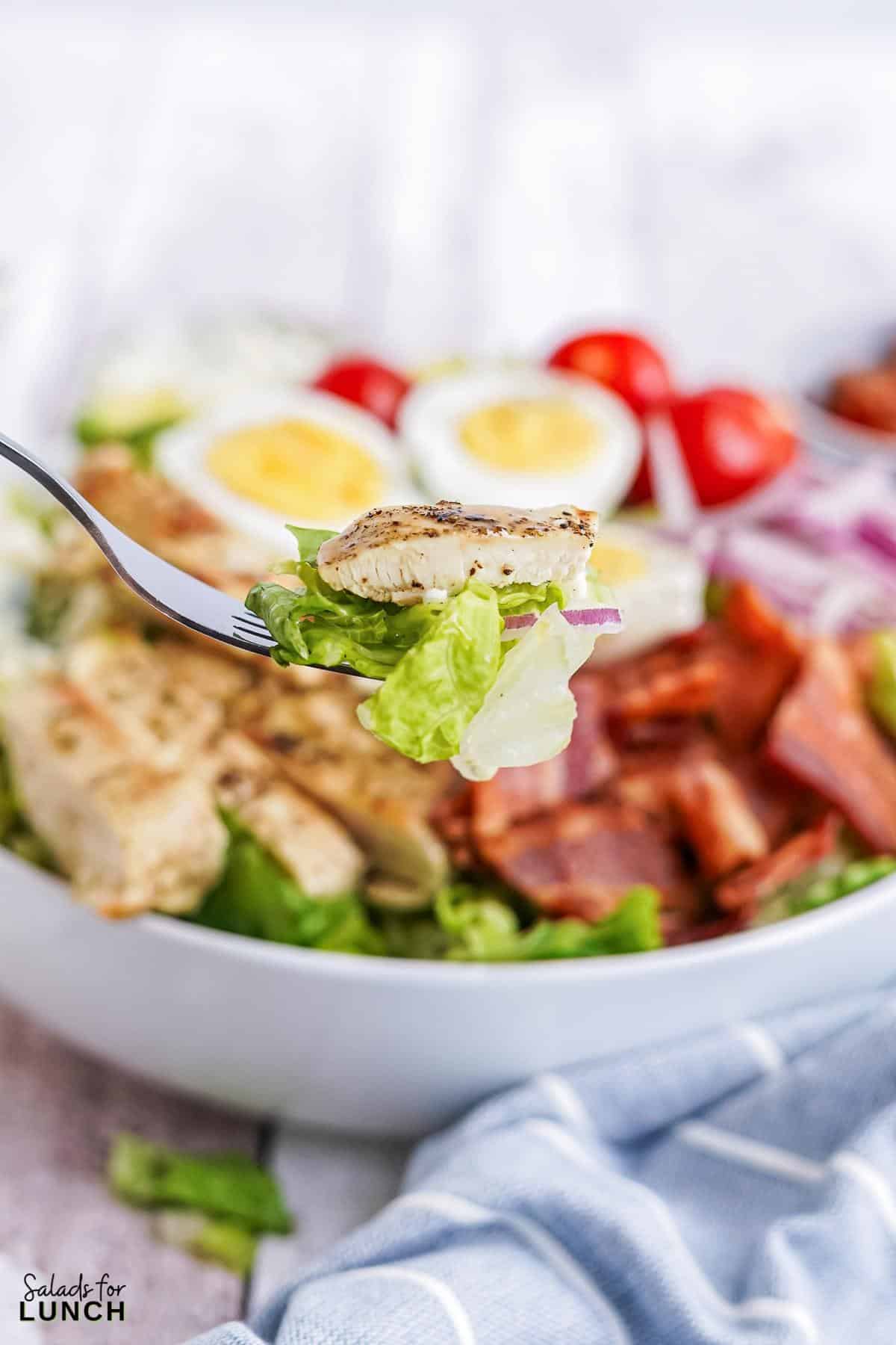 Fork with lettuce, chicken and red onion with a hearty classic cobb salad in the background.