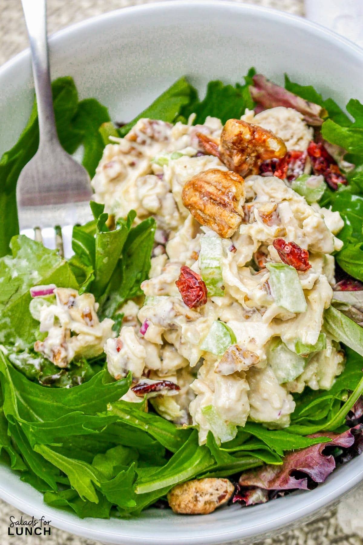 Cranberry Chicken Salad 23 - Cranberry Pecan Chicken Salad is a delightful blend of tender diced chicken, sweet dried cranberries, crunchy toasted pecans, and crisp celery, all mixed in a creamy dressing with a hint of honey and Dijon mustard.
