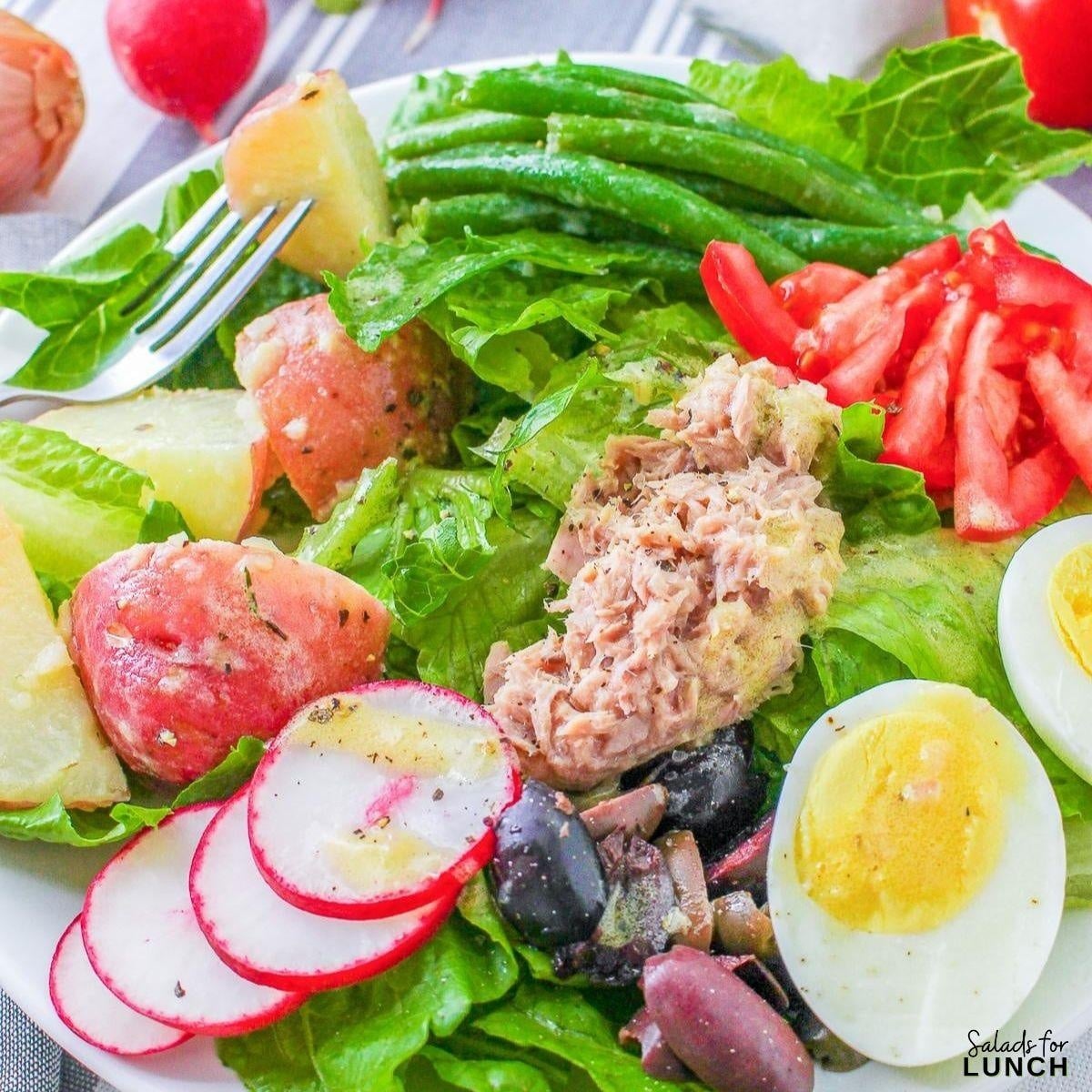 French Nicoise Salad 1 - We’ve rounded up 26 of the best spring salads to help you make the most of April’s freshest fruits and veggies. Whether you’re craving something light and refreshing or hearty and satisfying, there’s a salad here for every taste.