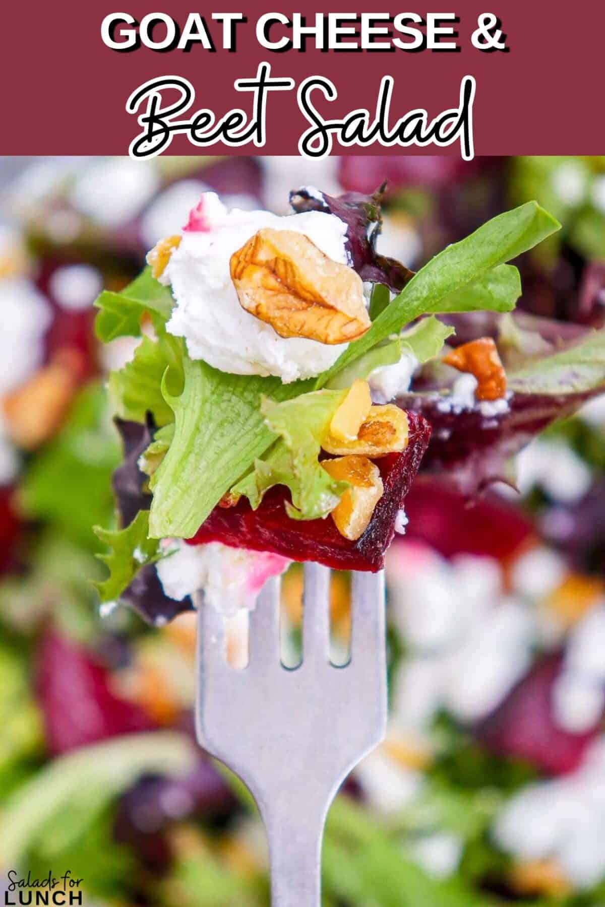 Goat Cheese and Beet Salad - A hearty Beetroot and Goat Cheese Salad with roasted beets, tangy goat cheese, walnuts, and a zesty vinaigrette. Perfectly healthy and easy for winter sides!