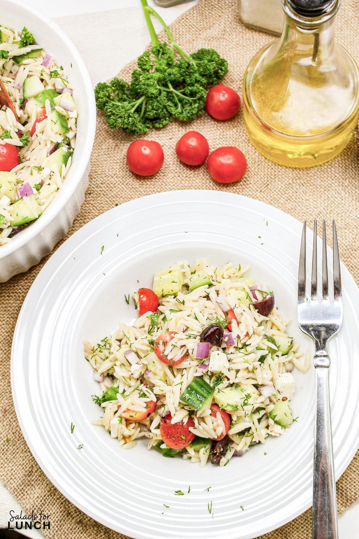 Greek Orzo Salad 23 - Are you ready to jazz up your lunchtime routine with a salad that's as delicious as it is easy to make? Say hello to the Greek Orzo Salad—a vibrant, refreshing dish that's bursting with Mediterranean flavors and perfect for any meal. Whether you're looking for a quick lunch or a light dinner, this salad is a crowd-pleaser that’s sure to satisfy. This Greek Orzo Salad comes together in just 25 minutes, making it an ideal choice for busy days when you still want to eat something healthy and delicious.