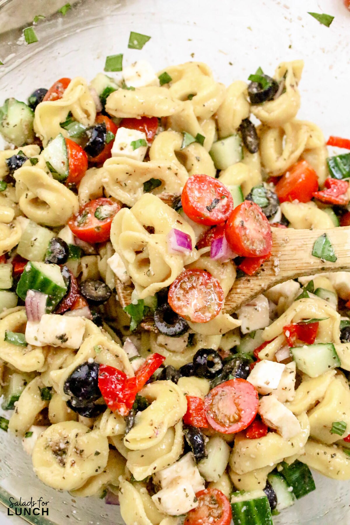 Greek Tortellini Pasta Salad Recipe 24 - This Tortellini Pasta Salad with Italian Salad Dressing is a fantastic mix of tender cheese tortellini, crisp vegetables, and a zesty dressing that makes every bite a treat. Perfect for potlucks or a quick meal, this salad brings a cheerful vibe to any gathering without taking hours to prepare.