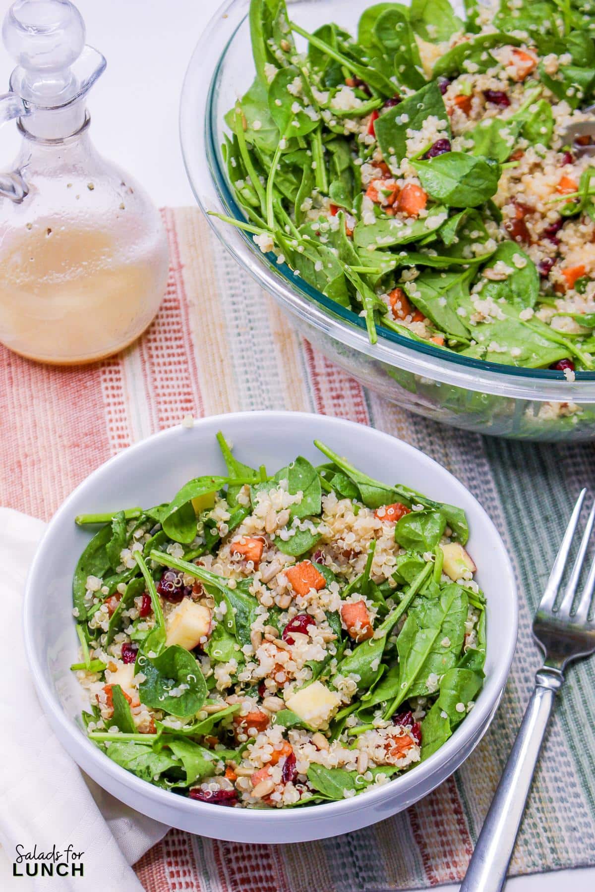 Harvest Quinoa Salad 15 - This Harvest Quinoa Salad is a delightful mix of texture and flavors of autumn and fall. Made with roasted roasted sweet potatoes, dried cranberries, red apple, spinach, sunflower seeds, protein-rich quinoa, and an apple cider vinaigrette, this gluten-free, plant-based recipe is a show-stopper!
