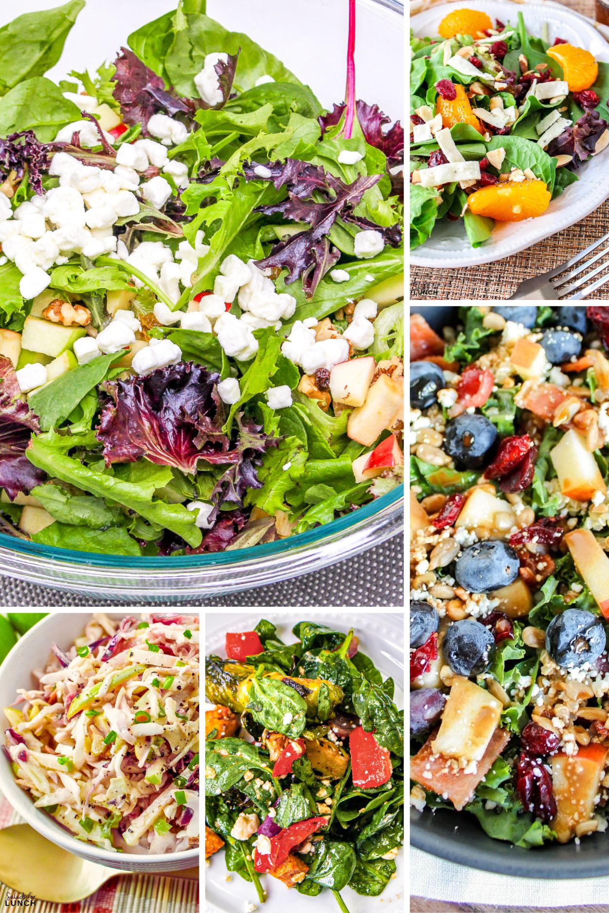 Healthy Salads to Make in January 1 - Give these 24 healthy winter salads to make in January a try. Each one is made with fresh seasonal produce to nourish and keep you healthy all winter long.
