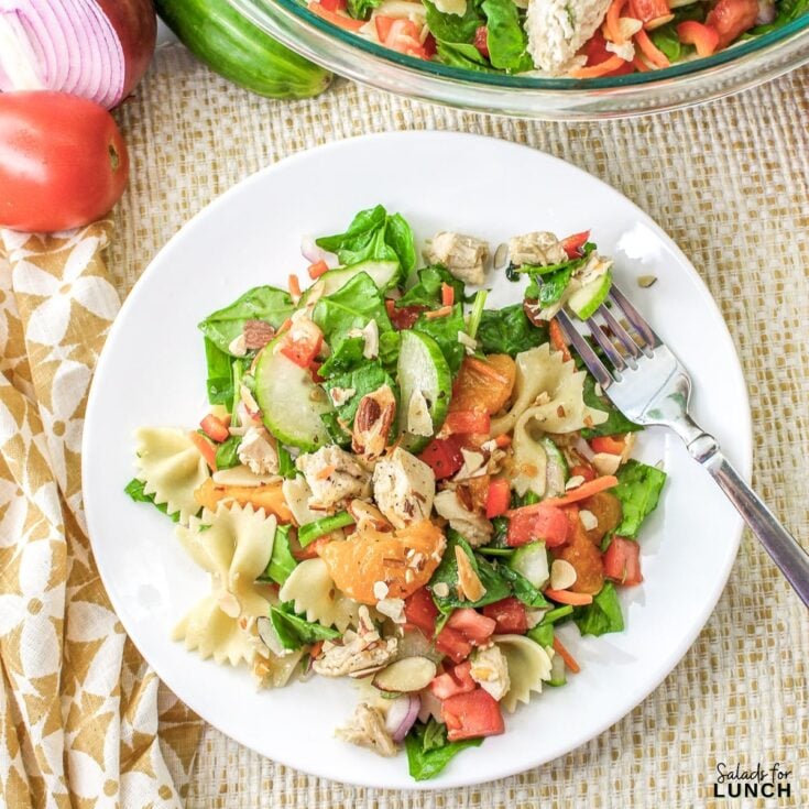 Mandarin Chicken Pasta Salad Square Featured Photo - Shake up your weekday lunch with these tasty, healthy salads for lunch recipes that are great on the go. Make a filling and healthy salad that will power you through any work day. Full of protein and fiber these quick salads are an easy way to spruce up your lunch.