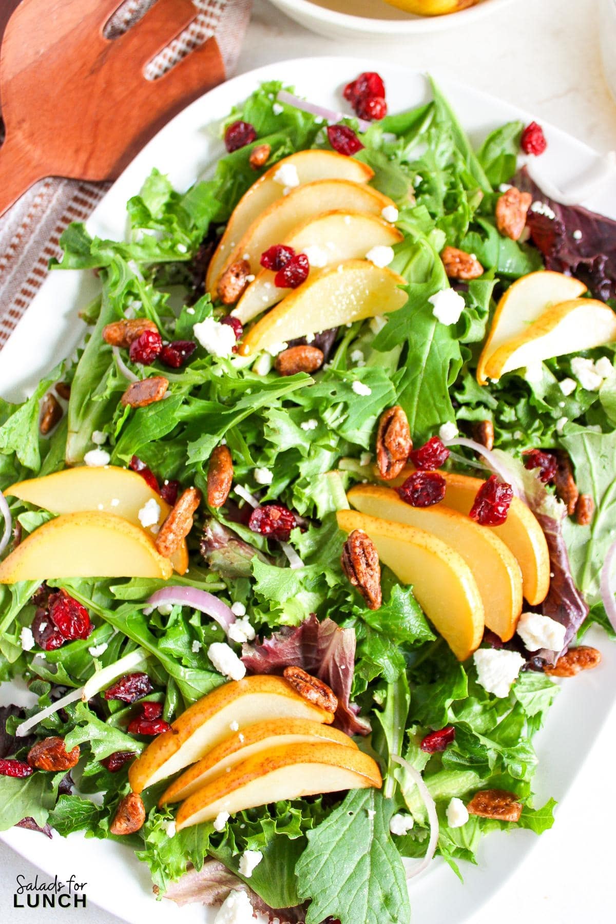 Roasted Pear Salad with Lemon Vinaigrette Recipe 13 - This Roasted Pear Salad with Lemon Vinaigrette is a deliciously hearty option for lunch or dinner. It’s quick to make, healthy, and bursting with sweet and savory flavors that’ll leave you craving more! Plus, it’s so versatile—you can dress it up or keep it simple, and it always turns out delicious.