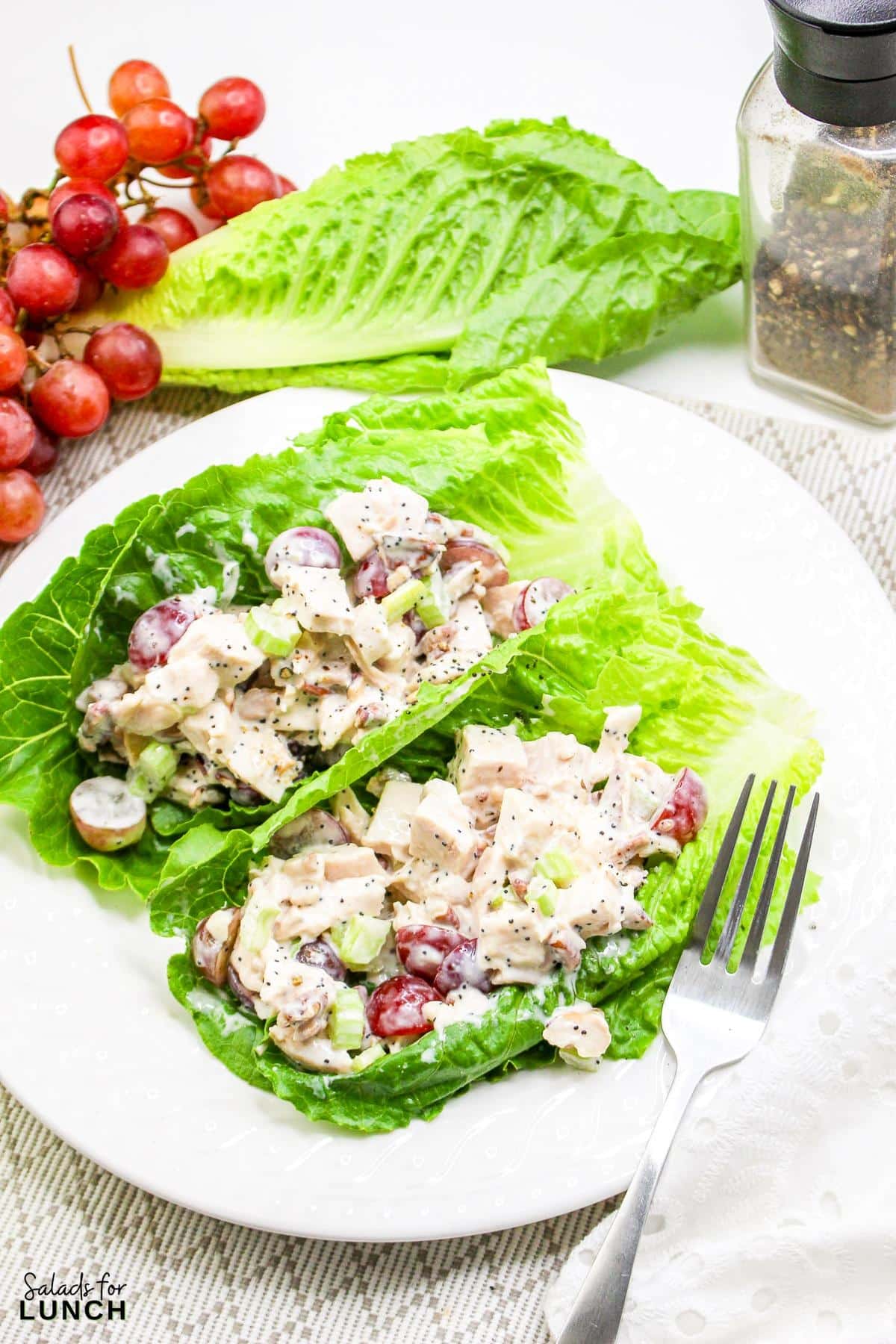 Sonoma Chicken Salad with Creamy Poppy Seed Dressing